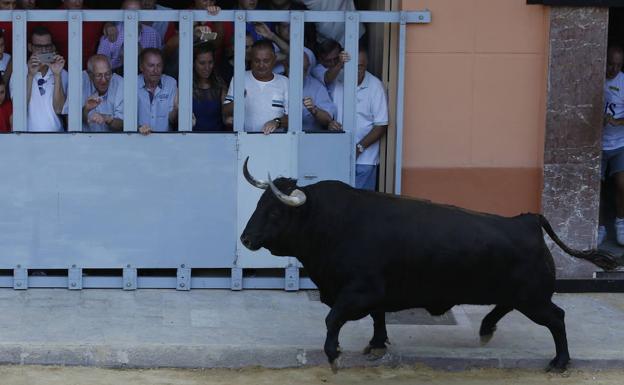 Agenda de bous al carrer del 13 y 14 de septiembre en Valencia, Alicante y Castellón