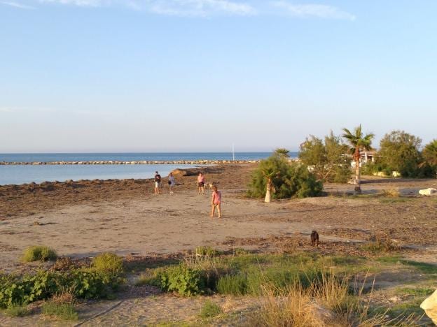 Varios usuarios pasean con sus mascotas por la playa habilitada para perros en la costa de Dénia. / B. ortolà