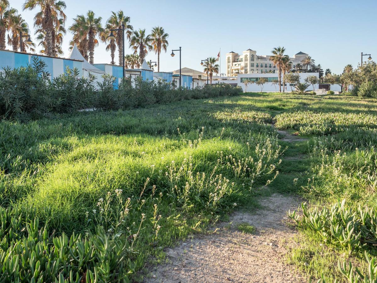 Mal estado del paseo marítimo de Valencia
