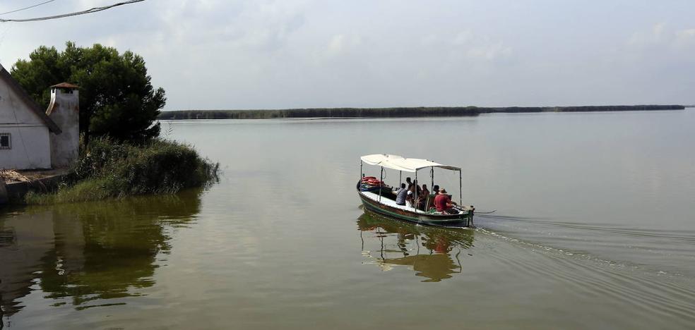 «La Albufera está en la UVI»
