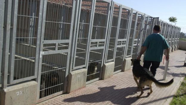 La gestión del refugio de animales se desbloquea tras dos años en precario