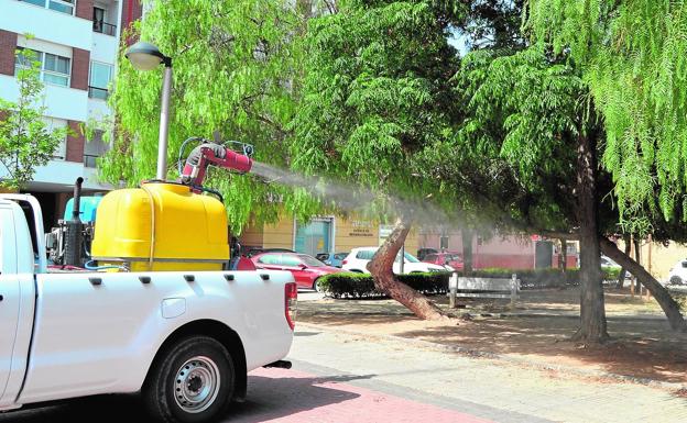 L'Alcúdia lucha contra el mosquito