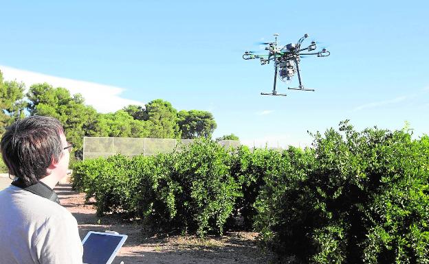 Drones para perfeccionar los cultivos