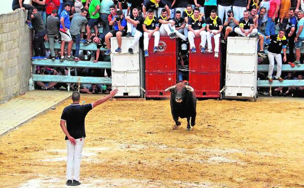 Museros suspende los bous al negarse la aseguradora a cubrir todos los riesgos