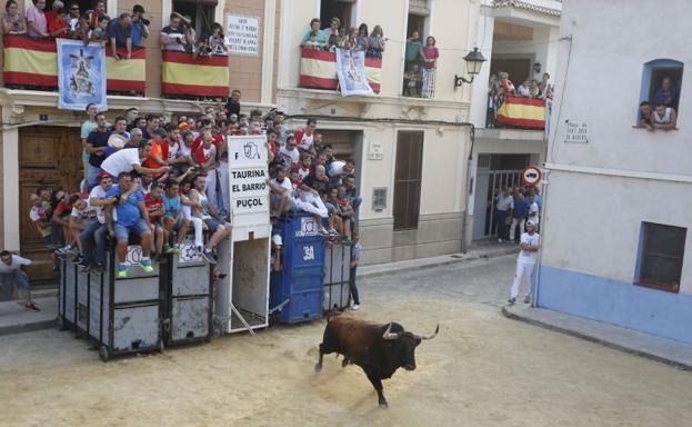 Les Corts derogan el segundo médico para los bous al carrer