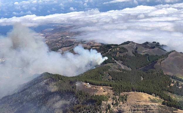 Los incendios forestales no se desbocan en España pese a vivir uno de los veranos más calurosos