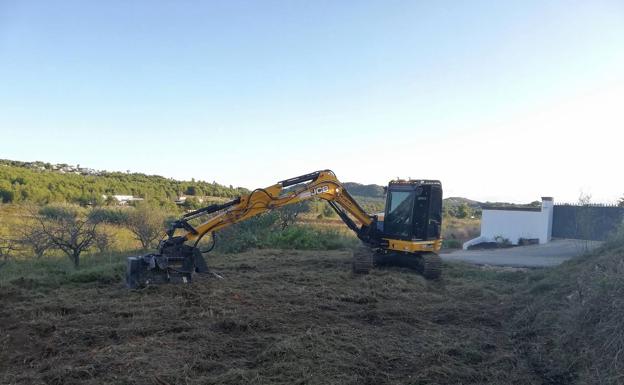 El Consell realiza trabajos de contención de la Xylella en Benitatxell