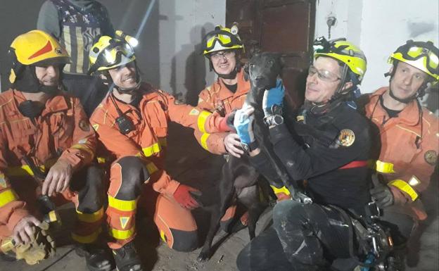 Rescatan a un perro que había caído por un pozo a 20 metros de profundidad en Quart de Poblet