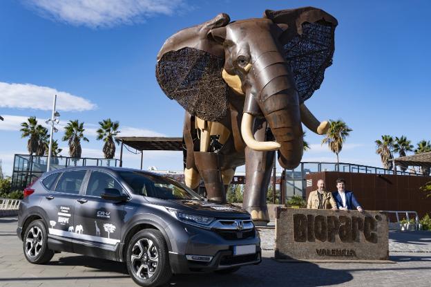Honda Centerauto, nuevo coche oficial del Bioparc  Las Provincias