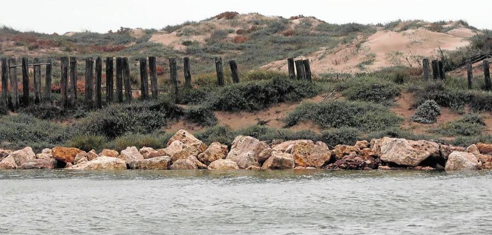 La Albufera, una farmacia natural
