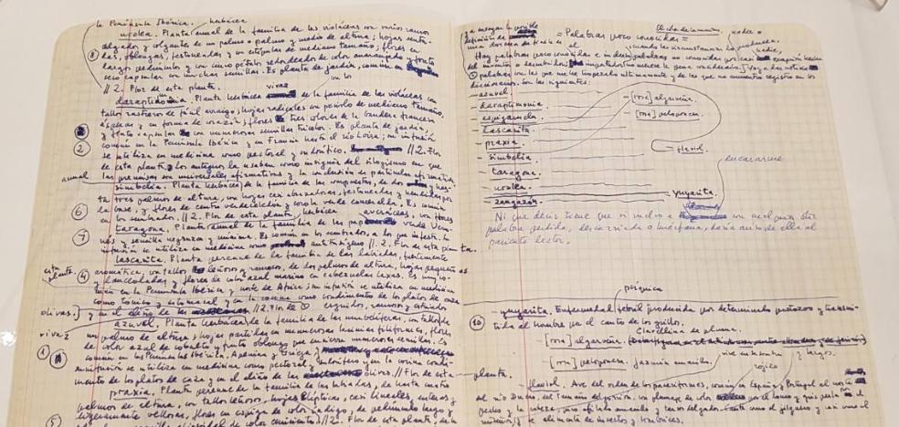 El misceláneo ideario de Cela, de puño y letra en 700 artículos