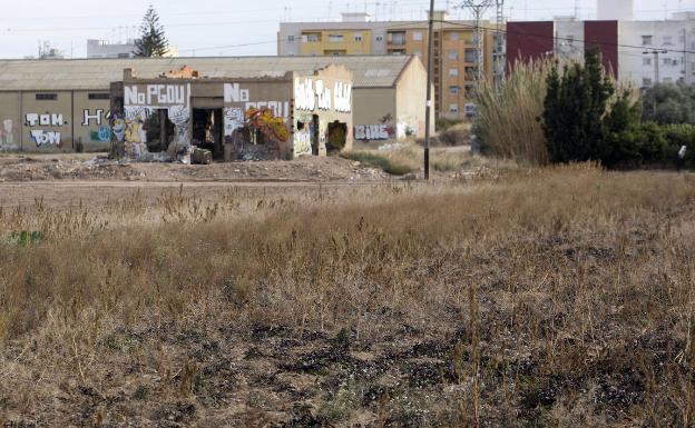 El campo valenciano pierde seis hectáreas al día por el abandono de los cultivos