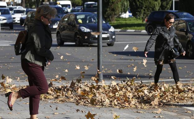 Vientos de hasta 100 kilómetros por hora amenazan la Comunitat