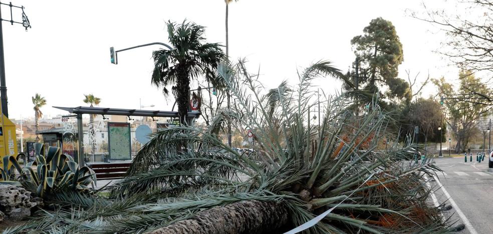 Temporal en la Comunitat: «No recordamos nada igual y menos en esta época del año»
