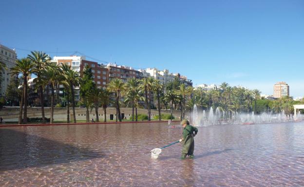 El Ayuntamiento de Valencia oferta 6 plazas de funcionarios para Parques y Jardines por primera vez desde hace 16 años