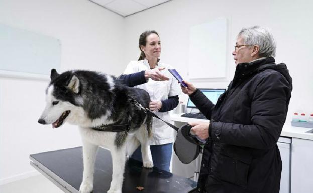 Cuidado con estos alimentos: pueden enfermar y matar a tu perro