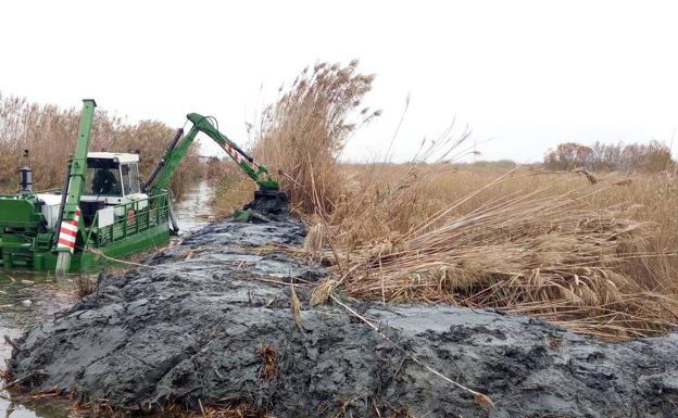 Valencia dragará seis kilómetros de acequias en la Albufera