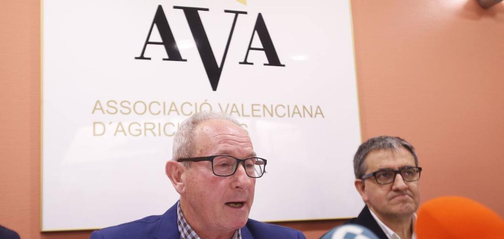 Cristóbal Aguado: «La Conselleria de Agricultura ha perdido los papeles y nos va a salir muy caro»