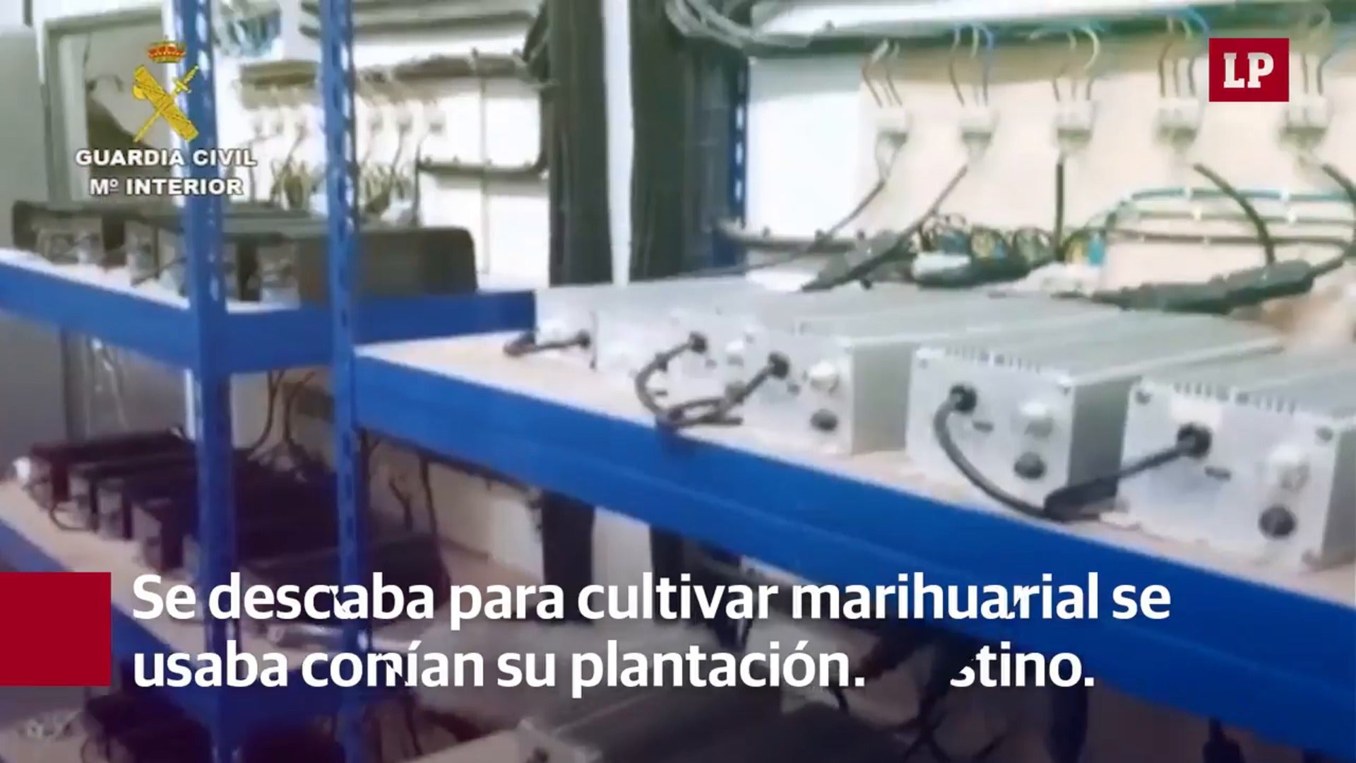 La Guardia Civil descubre 500 plantas de marihuana en Sueca