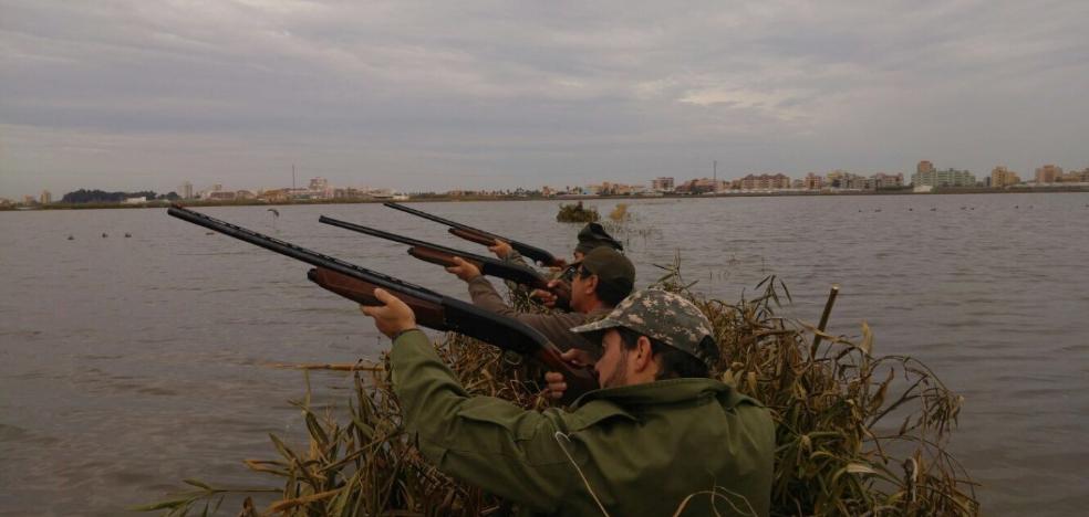 La caza lucha por sobrevivir en la Albufera