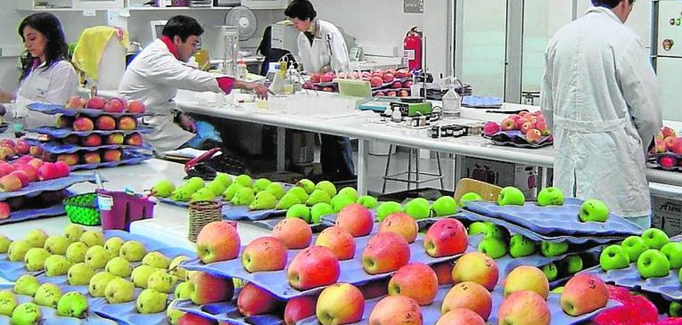 Nuevos métodos valencianos para conservar la fruta