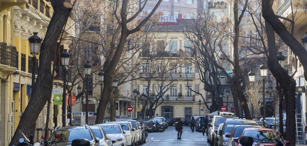 El arbolado de Valencia pasa por el quirófano