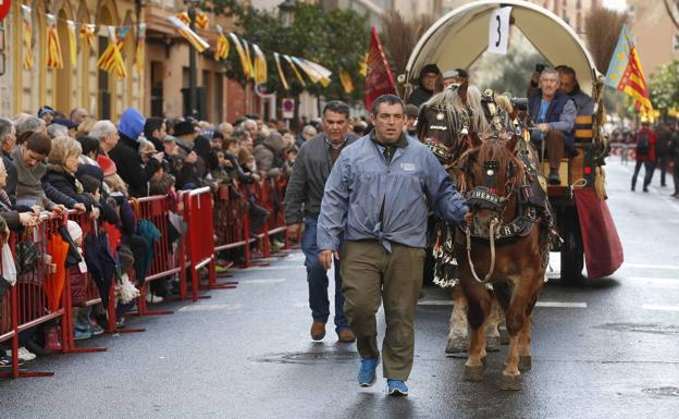 Valencia celebra San Antonio Abad con su tradicional bendición de animales