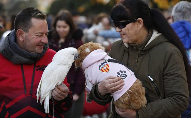 Los fieles cumplen con la bendición de los animales