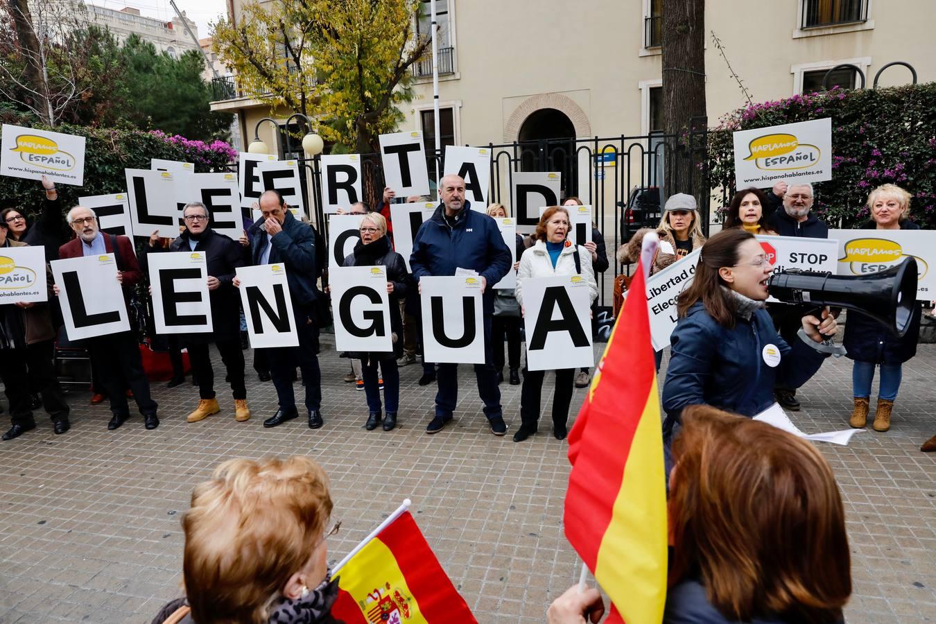 Fotos de las manifestaciones contra la discriminación del castellano