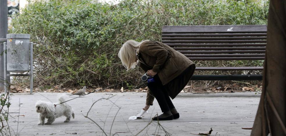 ENCUESTA | ¿Le parece bien que se multe con 150 euros a los dueños que no recojan los excrementos de sus perros en Valencia?