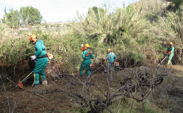 Labora abre la inscripción para que 1.000 parados puedan acceder a tareas de conservación del monte