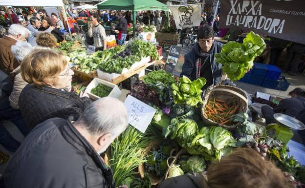 ¿Qué hacer este domingo 26 de enero en Valencia?