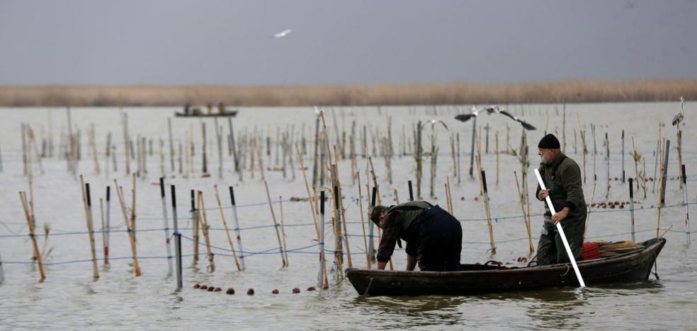 El Gobierno conoce desde 2007 la falta de depuración en la Albufera sin darle solución
