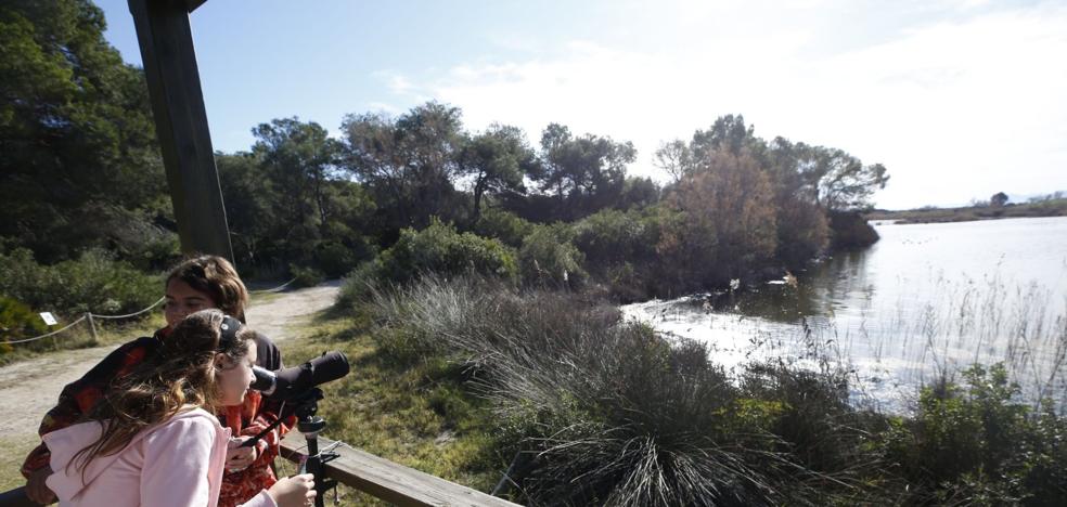 El choque entre Fomento y Medio Ambiente frena las obras contra vertidos en la Albufera