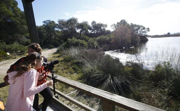 El choque entre Fomento y Medio Ambiente frena las obras contra vertidos en la Albufera