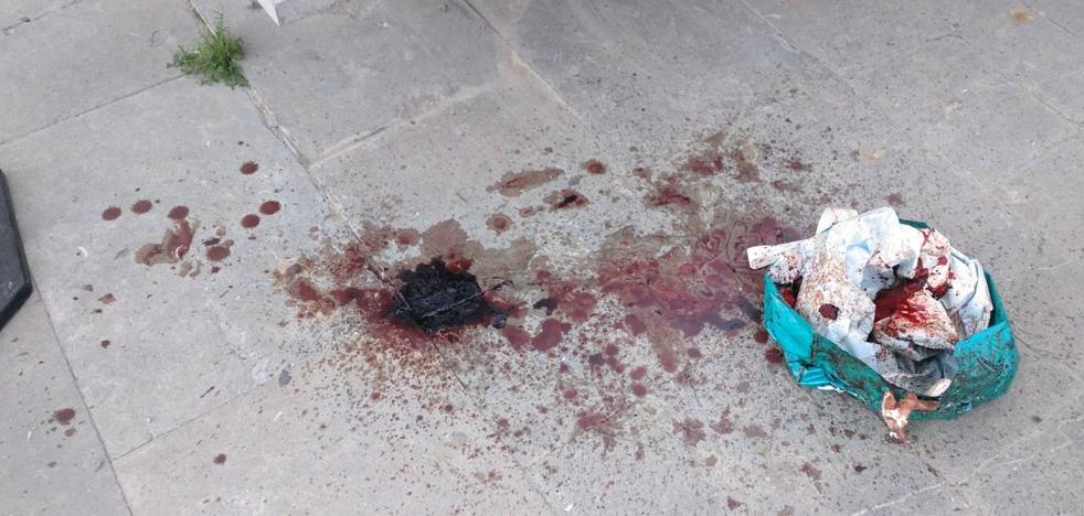 Investigan el hallazgo de unas vísceras y un reguero de sangre junto al IVAM