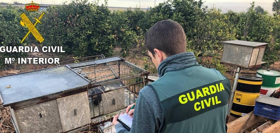 Un botín de 60.000 euros con plumas