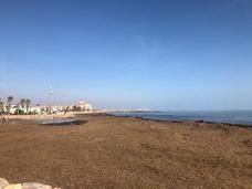 Así está la playa dels Peixets tres semanas después de 'Gloria'