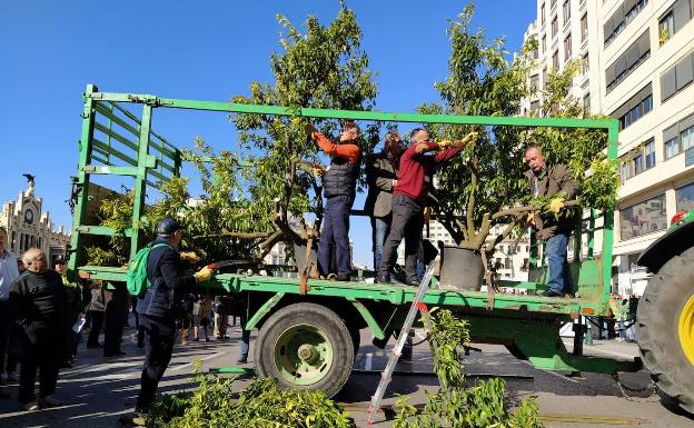 Naranjos serrados ante la plaza de toros para reclamar «precios justos»