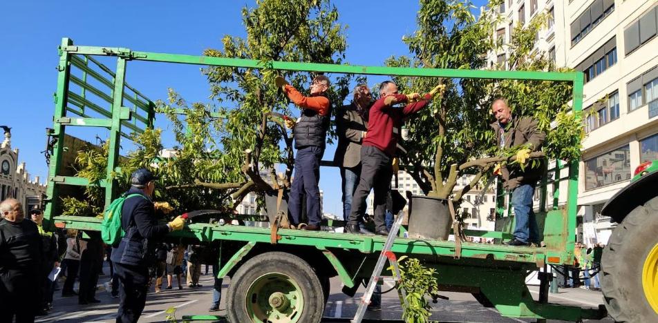 Naranjos serrados ante la plaza de toros para reclamar «precios justos»