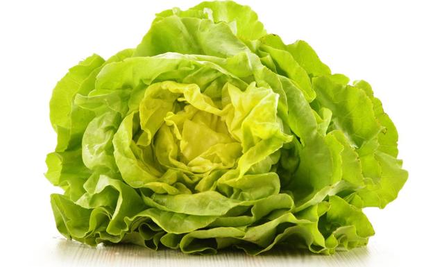 Precio récord de la lechuga