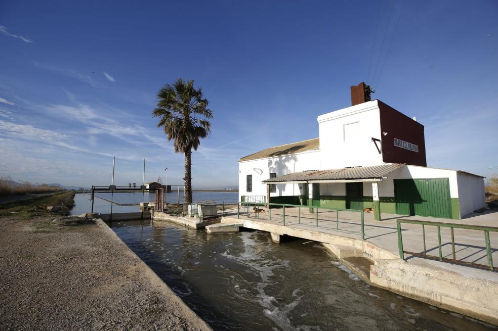 Los 74 corazones de la Albufera