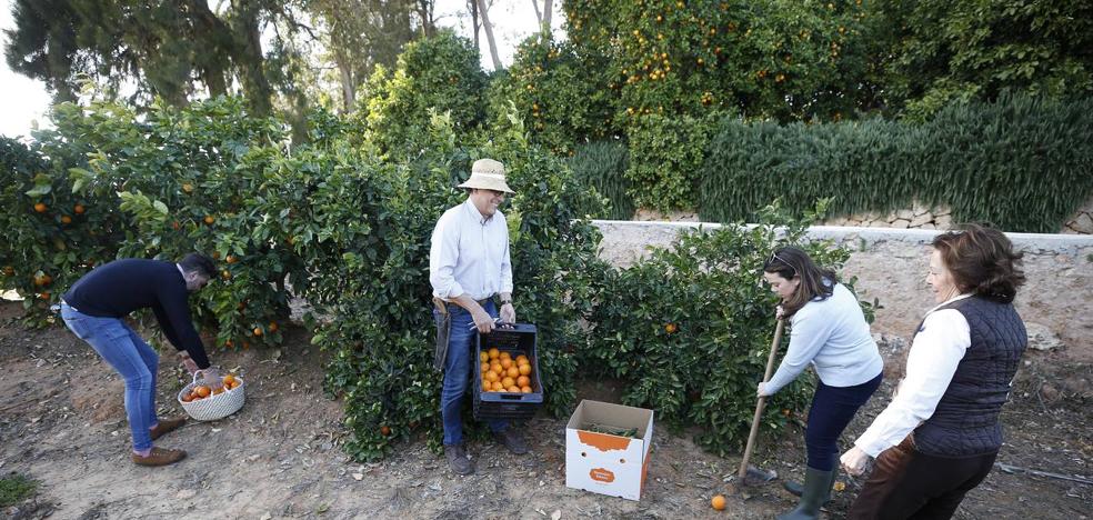 Las vidas del campo valenciano