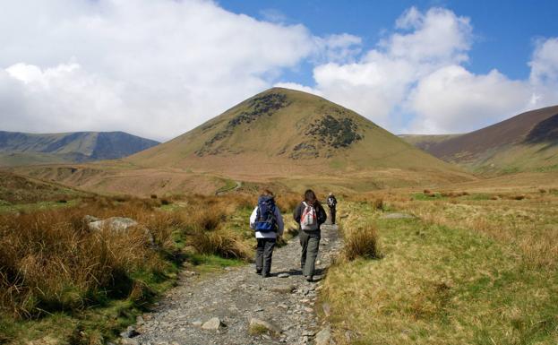 El Gobierno crea un nuevo título de FP