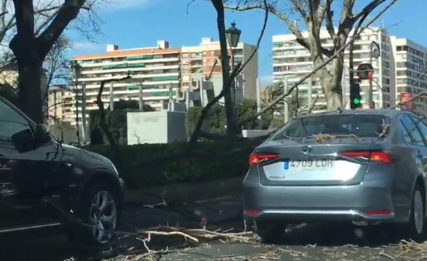 El vendaval deja cinco heridos, tumba árboles, cierra puertos y cancela trenes