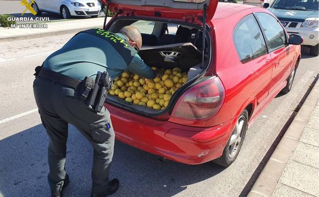 Detienen en Almoradí a dos hombres por una estafa en la compra de 128 toneladas de fruta