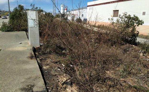 El viento provoca un incendio en un solar de Albal