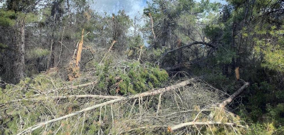 La ayuda para limpiar el monte se atasca pese al alto riesgo de incendio