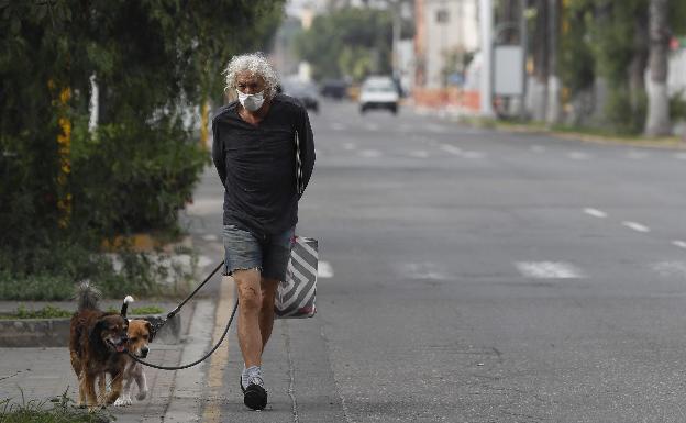 Fiscalía investigará las adopciones de perros durante la alerta por sin una excusa para salir