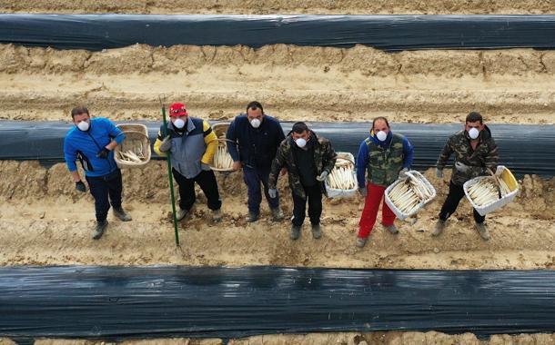 Agricultores y ganaderos valencianos denuncian «apercibimientos» por trabajar a pesar de tenerlo permitido